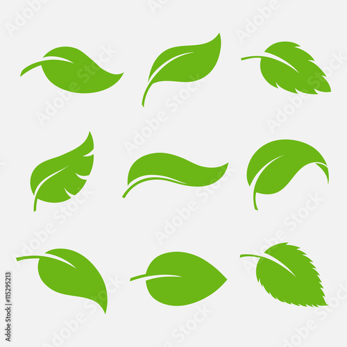 Fototapeta Naklejka Na Ścianę i Meble -  Leaves icon vector set