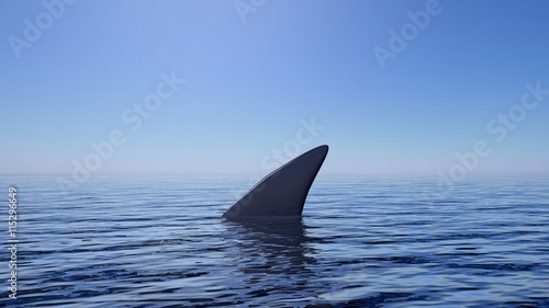 3D rendering of shark fin above water, with blue sky background.