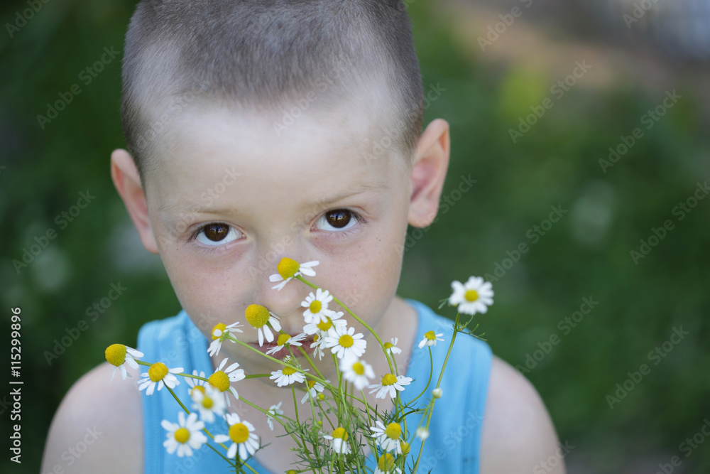 Boy headshot. Outdoor portrait of cute boy holding camomile bouquet isolated on nature green background. Boy headshot. Outdoor portrait of cute boy holding camomile bouquet isolated on nature green background.