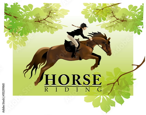 Horse Rider Woman. Equestrian Sport. Realistic vector illustration