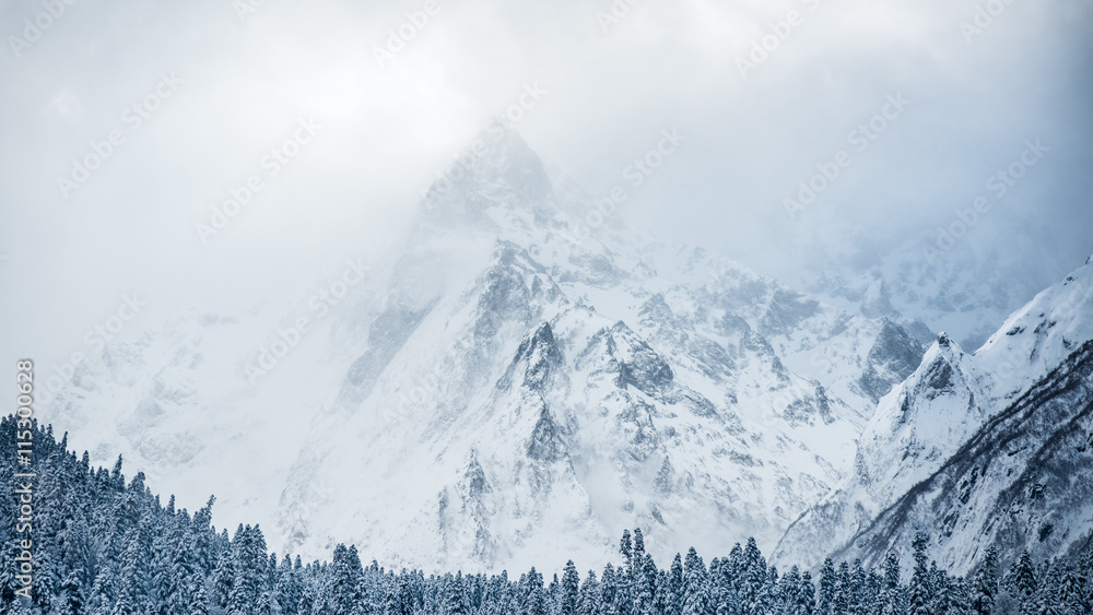 Mountain and forest covered in snow