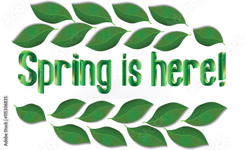 Spring Text with leaves Vector