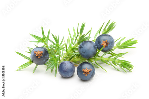 Fotobehang Juniper berries isolated