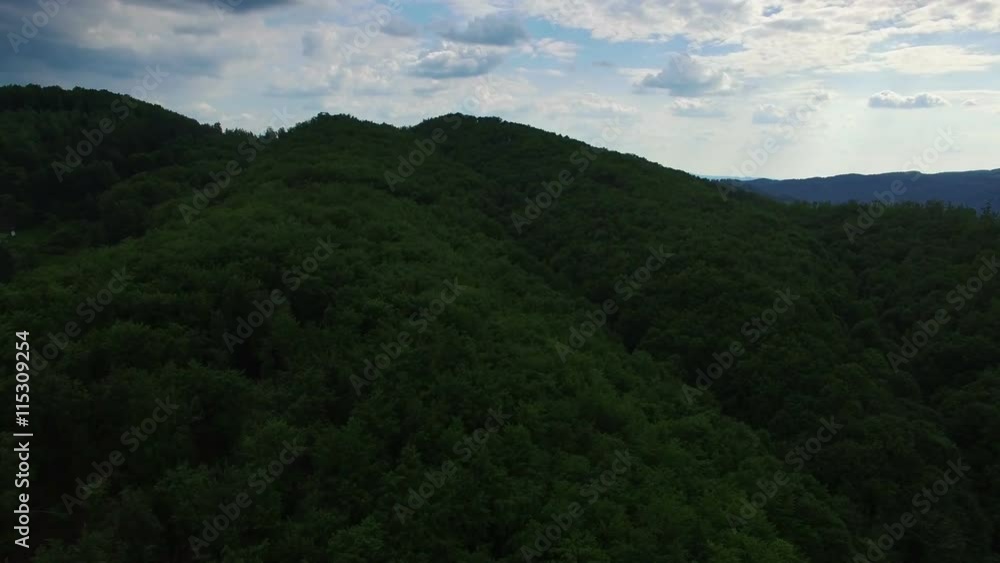 Green forest and mountain range against blue sky, aerial view Green forest and mountain range against blue sky, aerial view