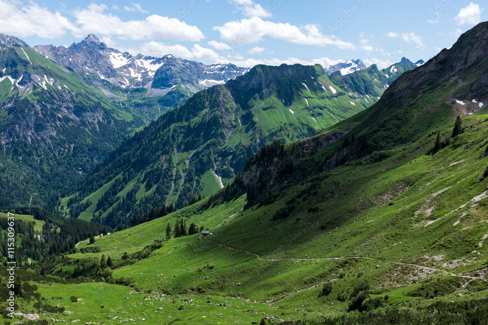 Naklejka premium panorama landscape in Bavaria with alps mountains and meadow at spring