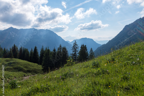 panorama landscape in Bavaria with alps mountains and meadow at spring