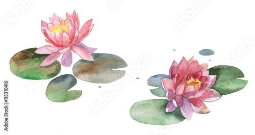 watercolor lily