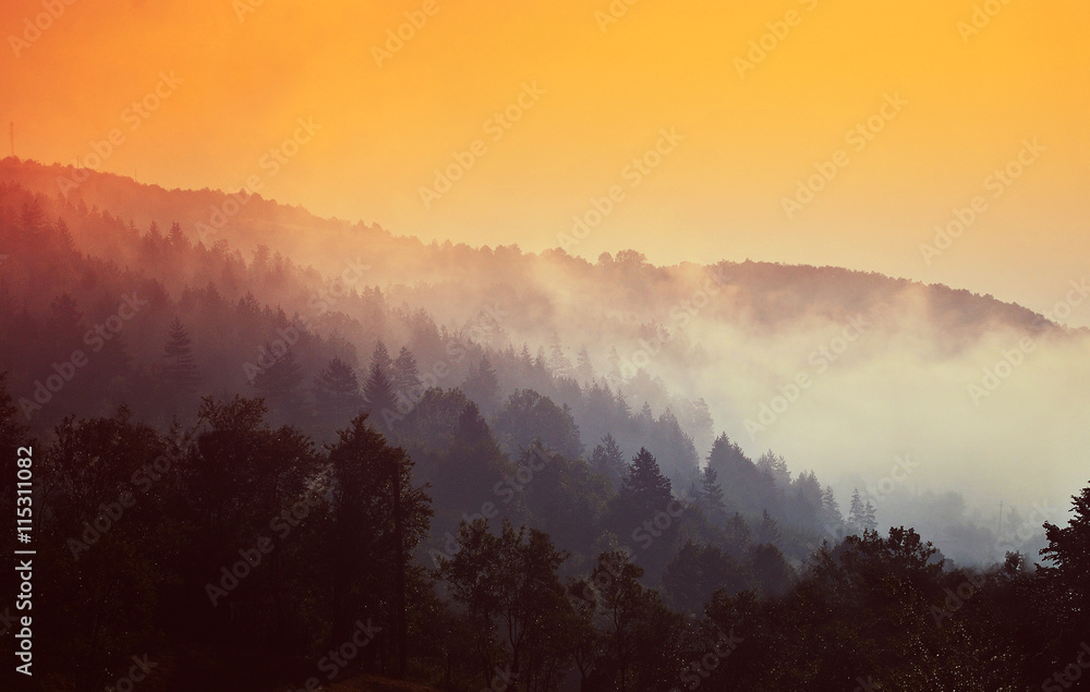 Obraz premium Fire morning