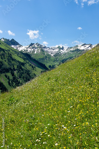 panorama landscape in Bavaria with alps mountains and meadow at spring