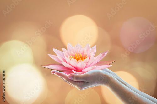 Vesak day, Buddhist lent day, Buddha's birthday worshipping concept with woman's hands holding water Lilly or lotus flower
