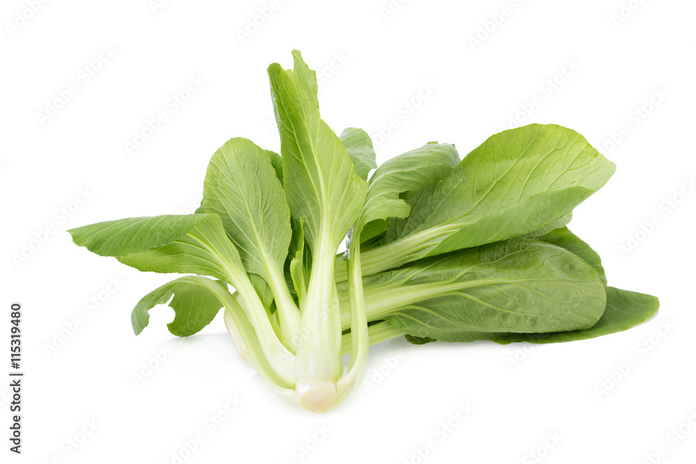 Pok Choi on white background Pok Choi on white background