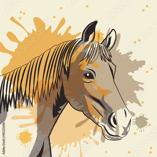 Horse icon. Animal and art design. Vector graphic