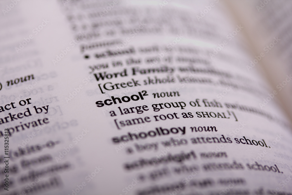 Close up of words in a dictionary Close up of words in a dictionary