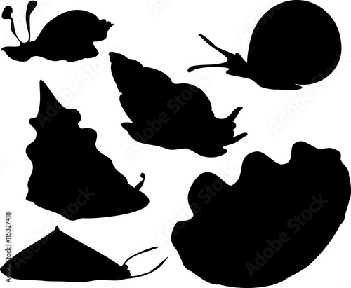 silhouettes of mollusks