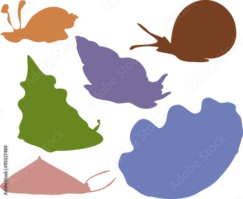 silhouettes of mollusks