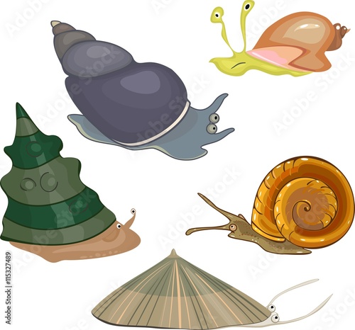 Set of snails