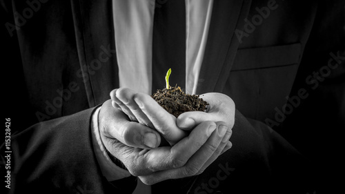 Businessman holding a germinating plant