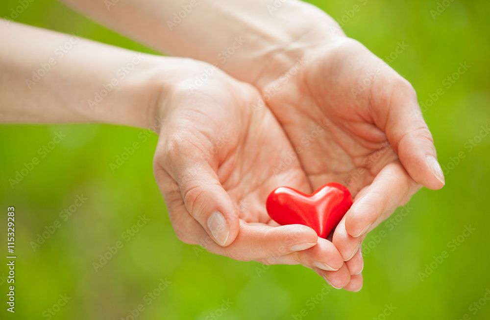 Hand holding red heart Hand holding red heart