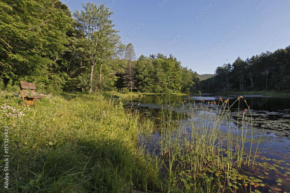 Pond in Wild Acres in the Berkshire Mountains of Western Massachusetts.