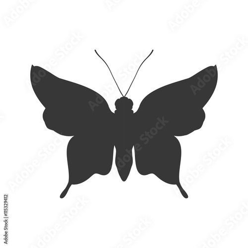 Insect concept represented by Butterfly silhouette icon. Isolated and flat illustration 