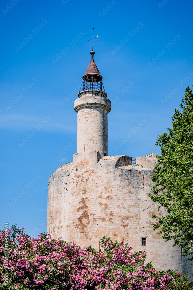 La cité lacustre de Aigues-Mortes et la tour de Constance