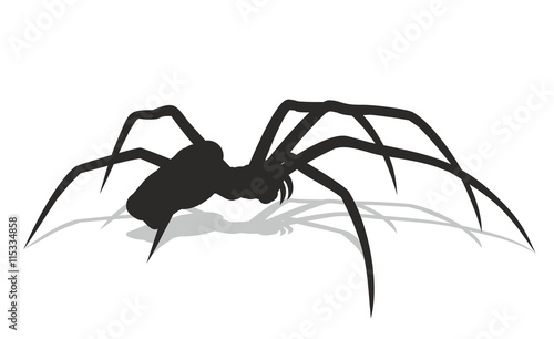 Silhouette of black spider.