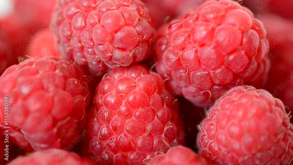 Shooting of raspberry. Summer berries. Shooting of raspberry. Summer berries.
