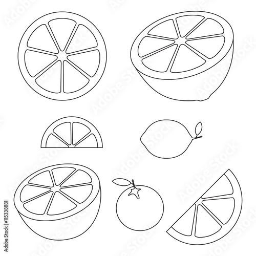 Collection of citrus slices - orange, lemon, lime and grapefruit, icons set, black isolated on white background, vector illustration.