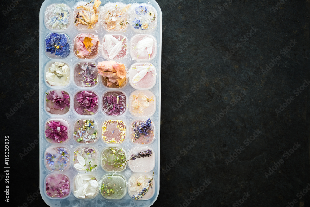Tray with Frozen Flowers in Ice Cubes Tray with Frozen Flowers in Ice Cubes