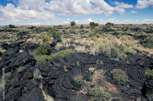 Lava covered with desert vegetation.  Fires Recreation Area photo