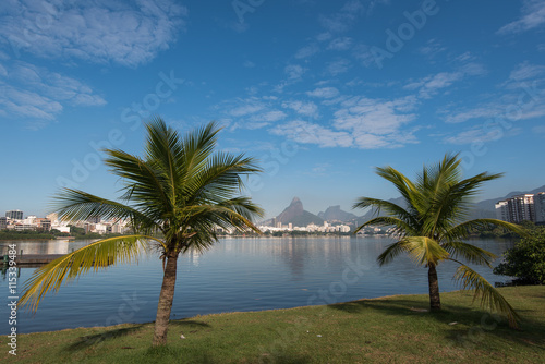 Palm Trees at the Rodrigo de Freitas Lagoon in Rio de Janeiro