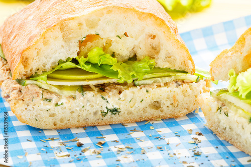 Large ciabatta sandwich with tuna, green, apple and cucumber photo