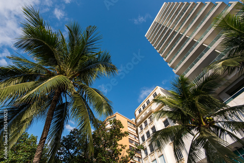 Tall Hotel Building and Palm Trees © Donatas Dabravolskas