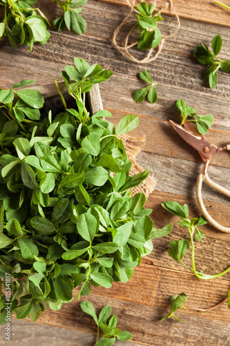 Raw Organic Fenugreek Methi Leaves