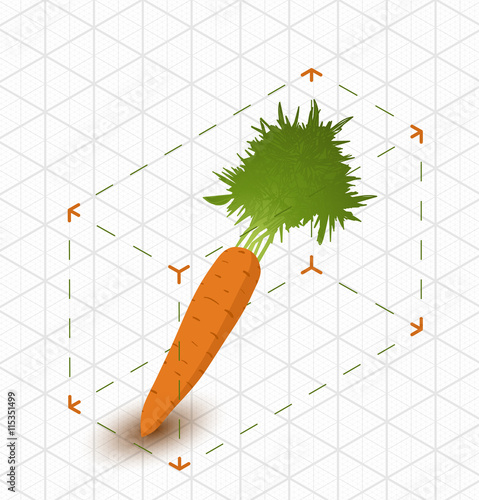 isometric carrot in bounding box
