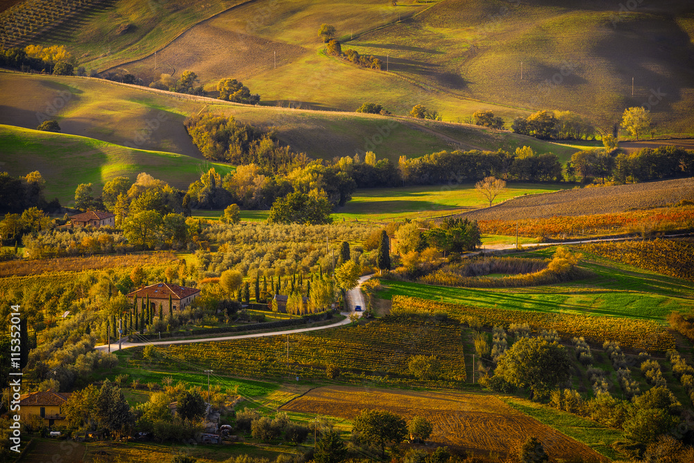 An idyllic panoramic view over the countryside of Montepulciano, Tuscany, Italy, bathed in the beautiful autumn sunset light