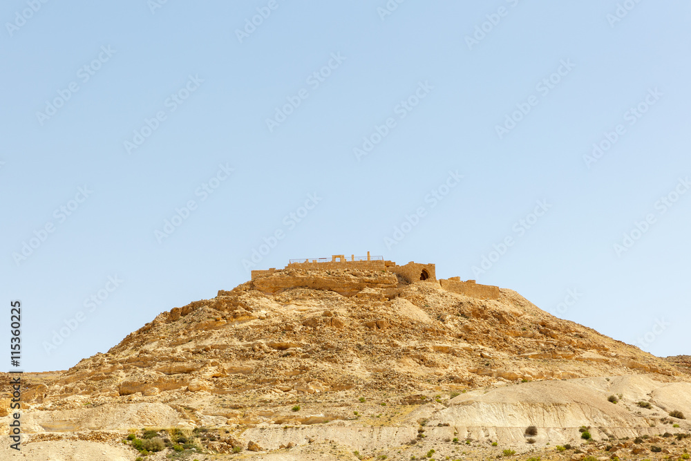 View of the ancient Nabatean city of Avdat