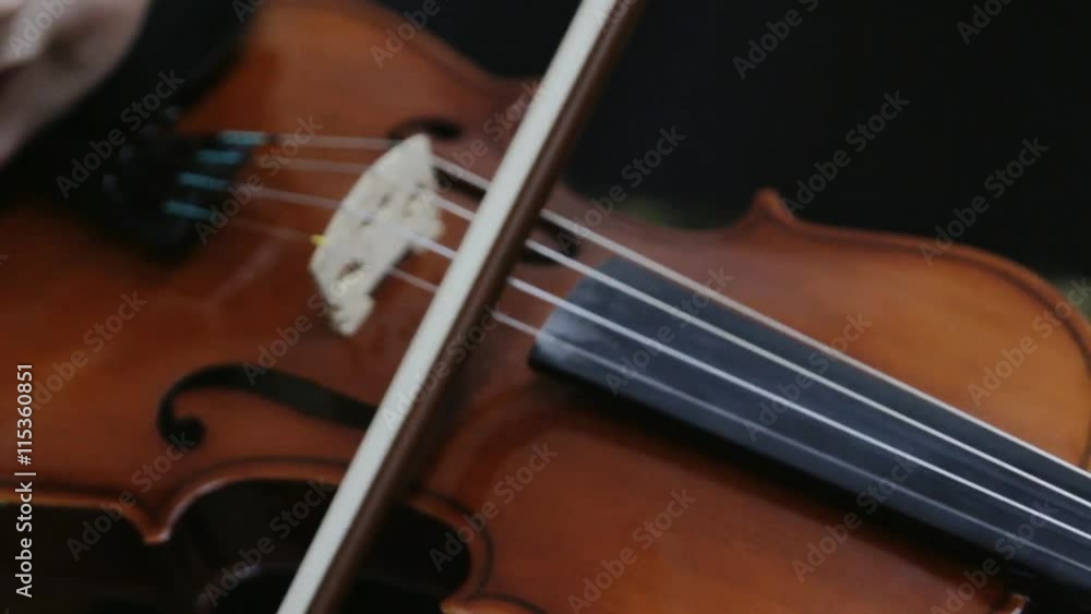 Girl playing violin Girl playing violin