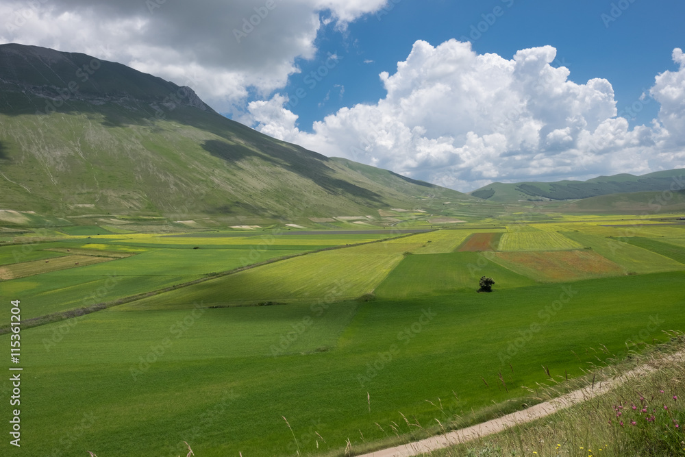 Castelluccio di Norcia in the Sibillini Park