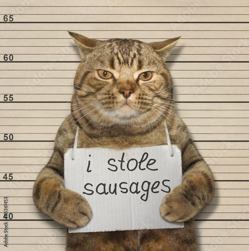 A scottish straight cat was convicted of stealing sausages.
