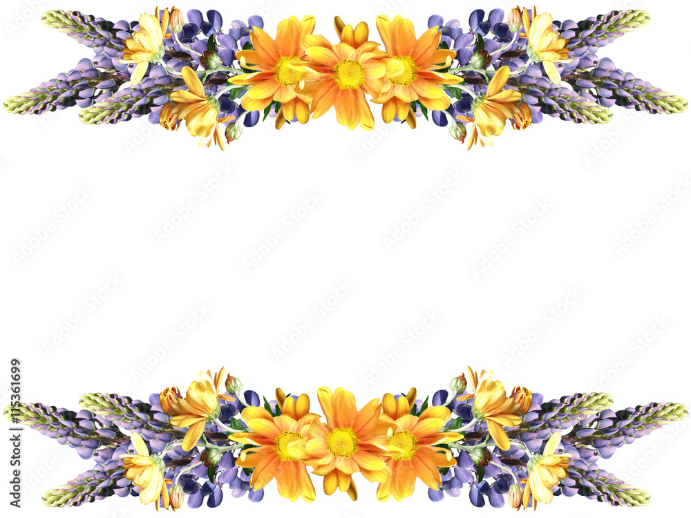 Obraz premium Beautiful floral pattern of blue lupine and yellow chrysanthemum 