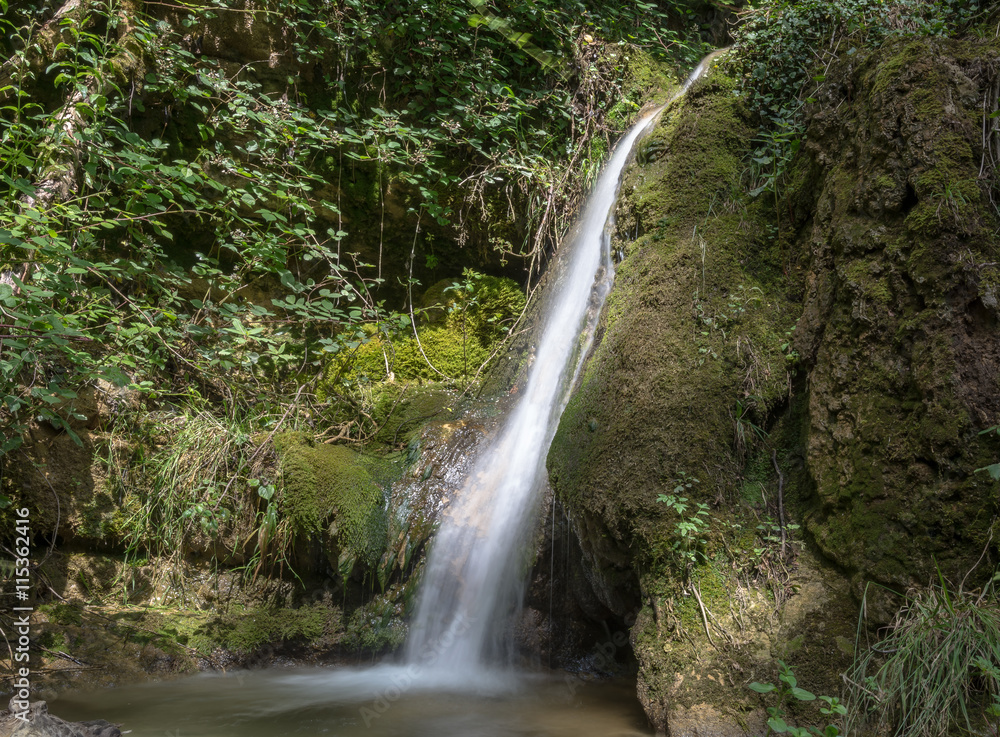 Fototapeta premium Wasserfall in der Natur in der Schweiz