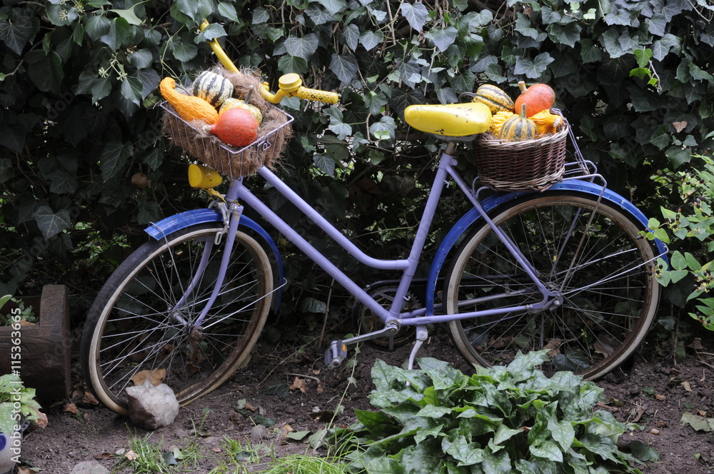 Fahrrad mit Zierkürbissen