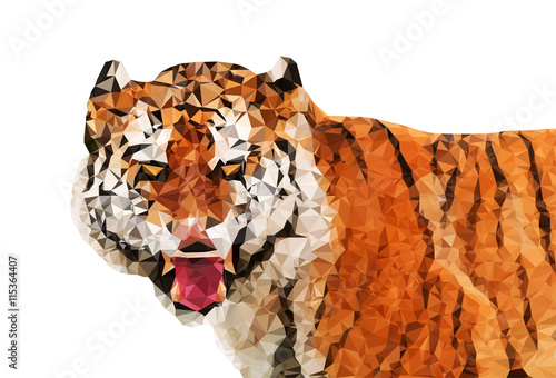 Fototapeta Naklejka Na Ścianę i Meble -  Tiger polygon design. Wild cat