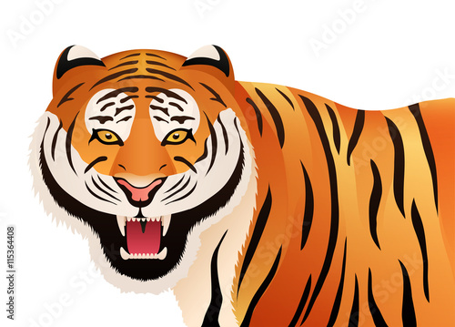 Fototapeta Naklejka Na Ścianę i Meble -  Tiger on white background. Wild cat