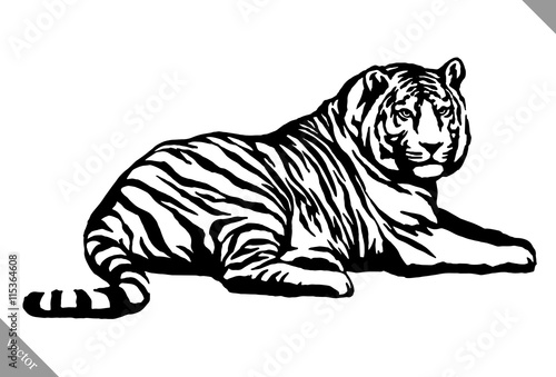 black and white ink draw tiger vector illustration