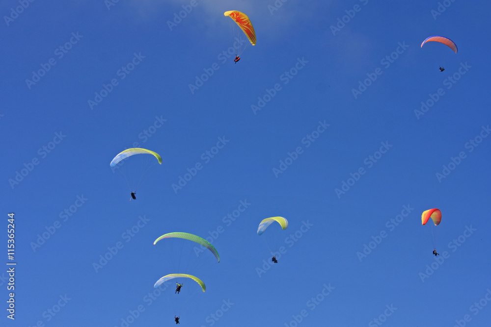 Paragliders