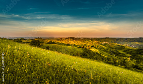 Hill landscape