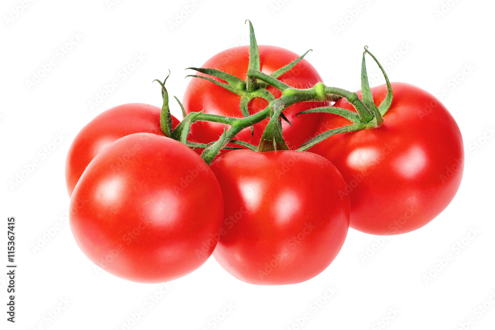 bright colorful tomatoes on the gnarled branches. isolated on white background without shadows. bright colorful tomatoes on the gnarled branches. isolated on white background without shadows.