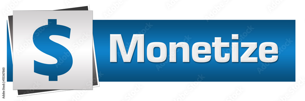 Monetize Blue Grey Horizontal 